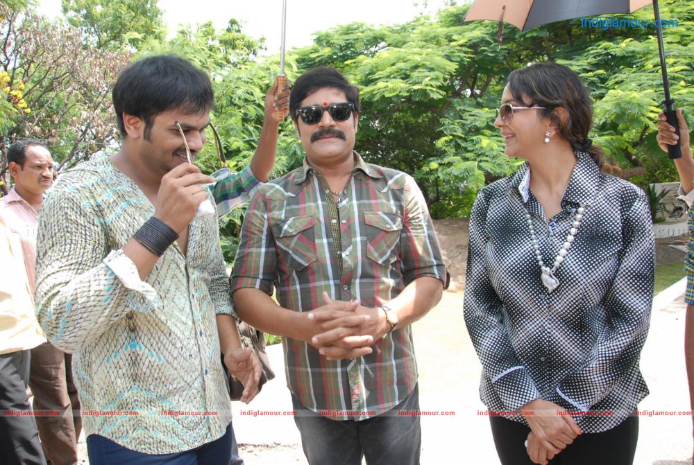 Vasool Raja movie Opening Event hd photo