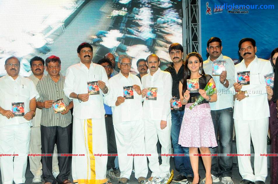 Satruvu Movie Audio Launch Event hd photo