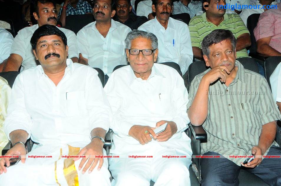 Satruvu Movie Audio Launch Event hd photo