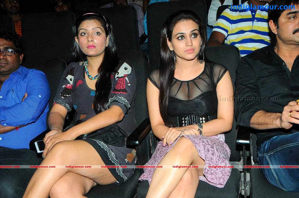 Satruvu Movie Audio Launch Event hd photo