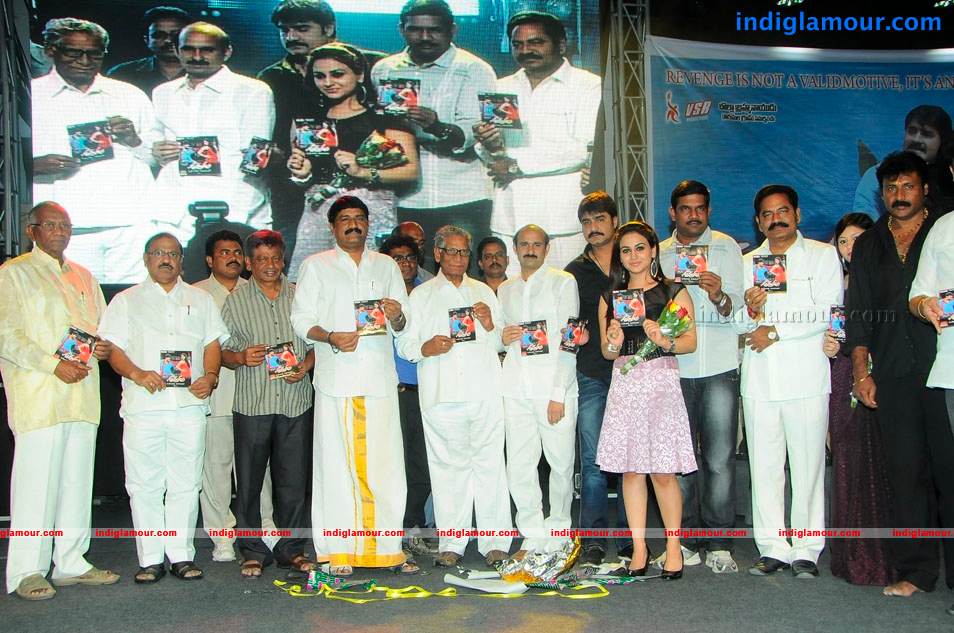 Satruvu Movie Audio Launch Event hd photo