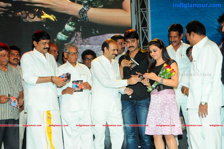 Satruvu Movie Audio Launch Event hd photo