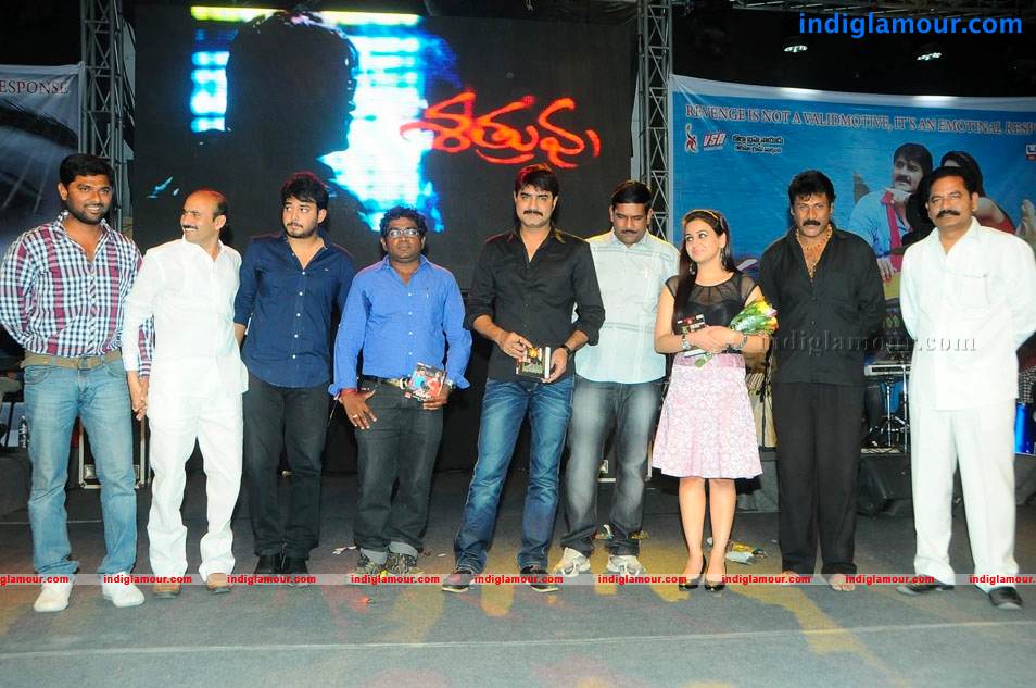 Satruvu Movie Audio Launch Event hd photo