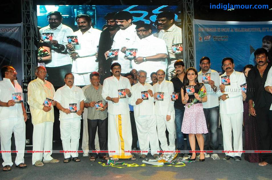 Satruvu Movie Audio Launch Event hd photo