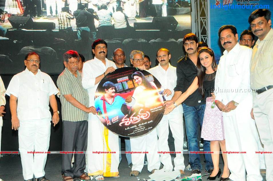 Satruvu Movie Audio Launch Event hd photo