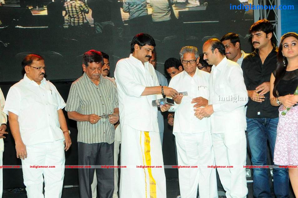 Satruvu Movie Audio Launch Event hd photo