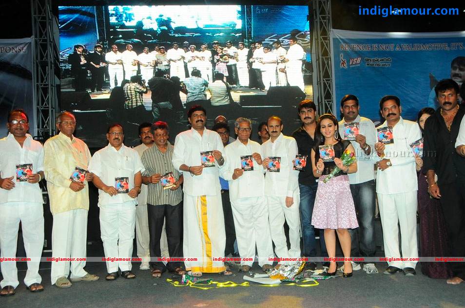 Satruvu Movie Audio Launch Event hd photo