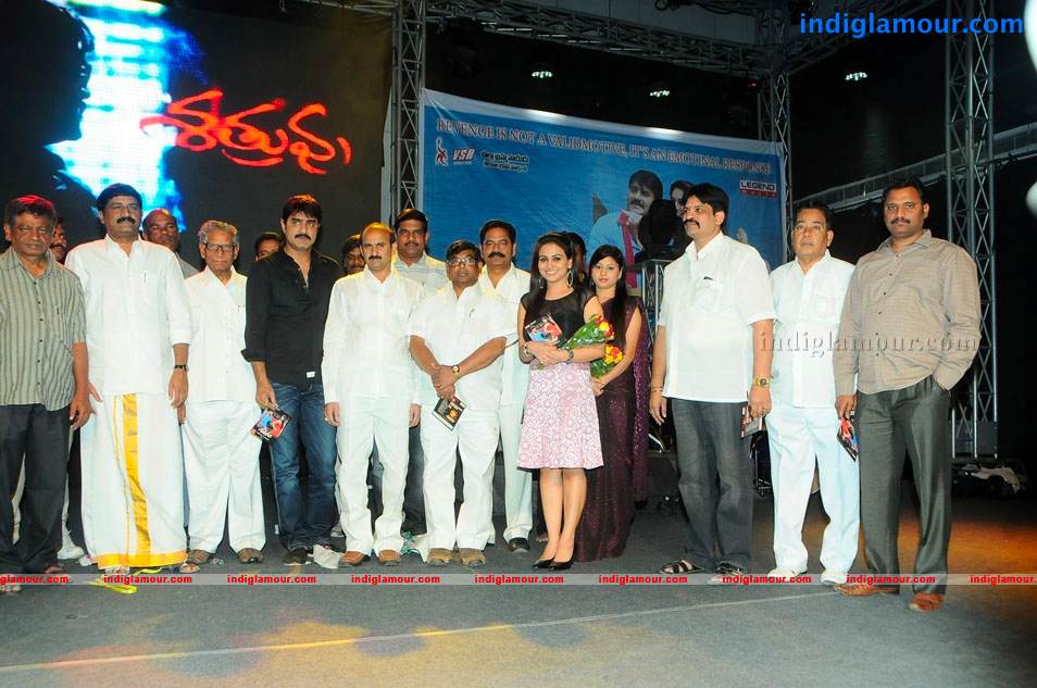 Satruvu Movie Audio Launch Event hd photo