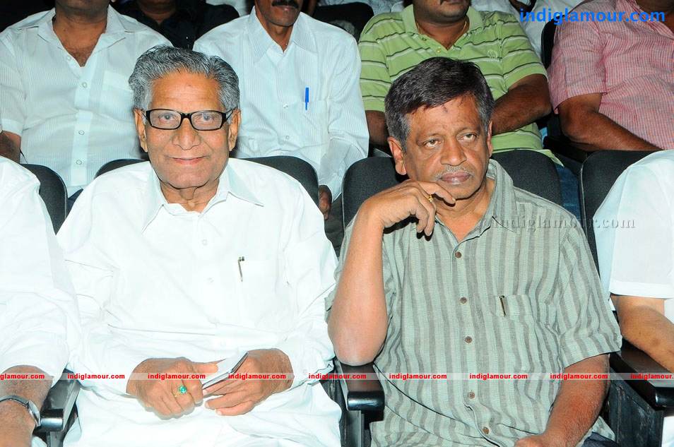 Satruvu Movie Audio Launch Event hd photo
