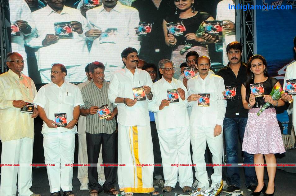 Satruvu Movie Audio Launch Event hd photo