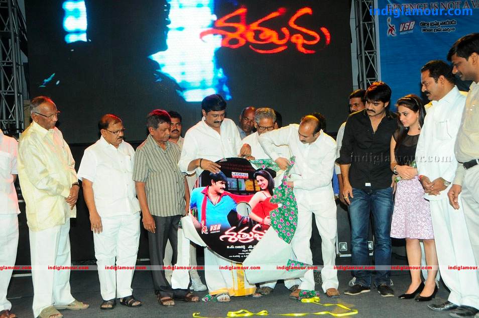 Satruvu Movie Audio Launch Event hd photo