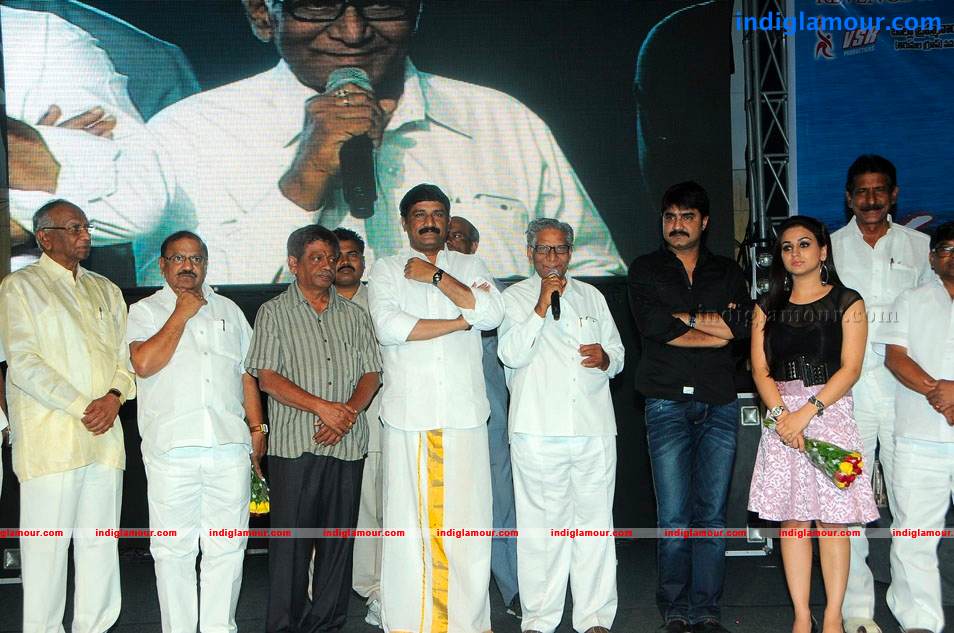 Satruvu Movie Audio Launch Event hd photo