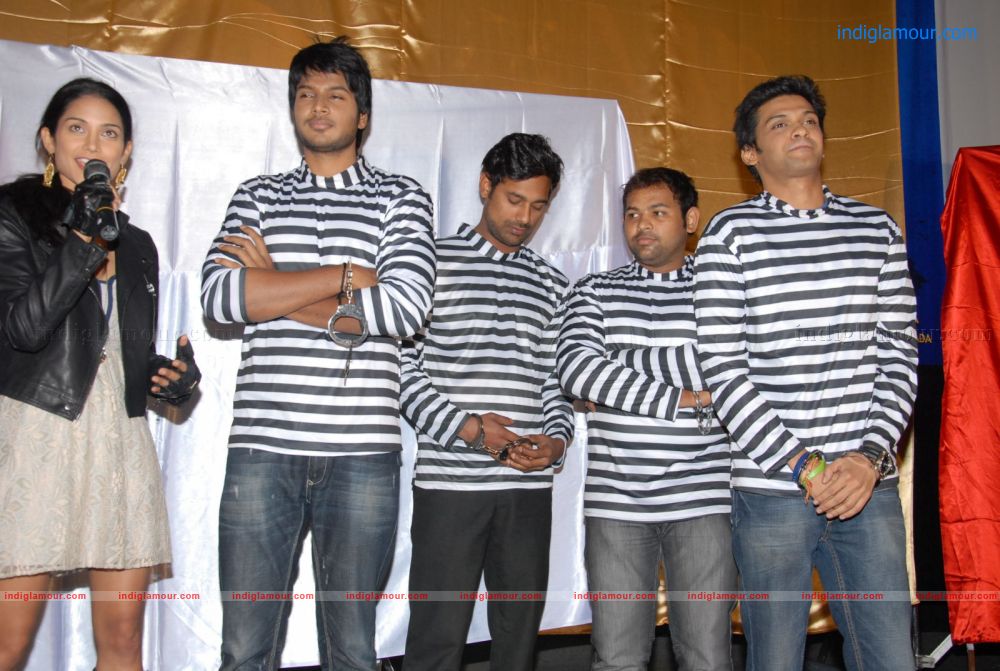 D for Dopidi logo launch Event hd photo