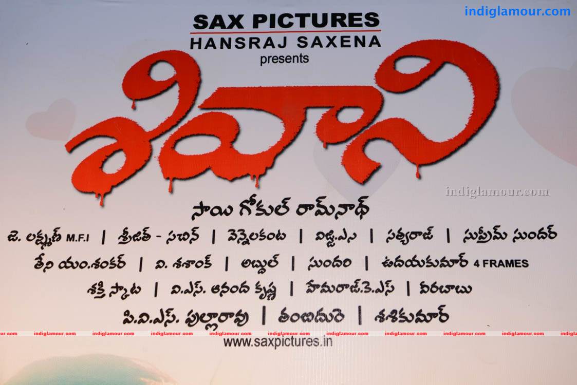 Shivani Movie Audio Launch Event hd photo