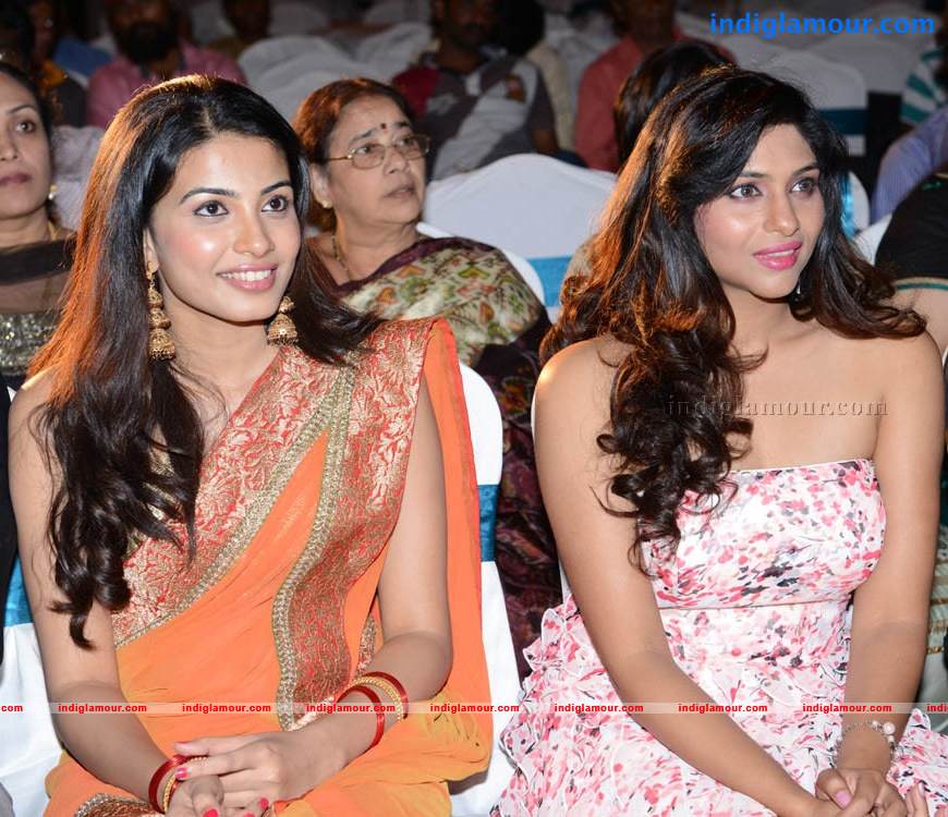 Shivani Movie Audio Launch Event hd photo