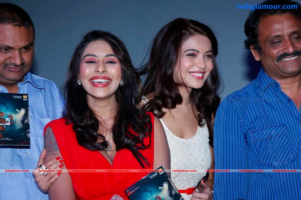 Aravind 2 Movie Audio Launch Photos Event hd photo