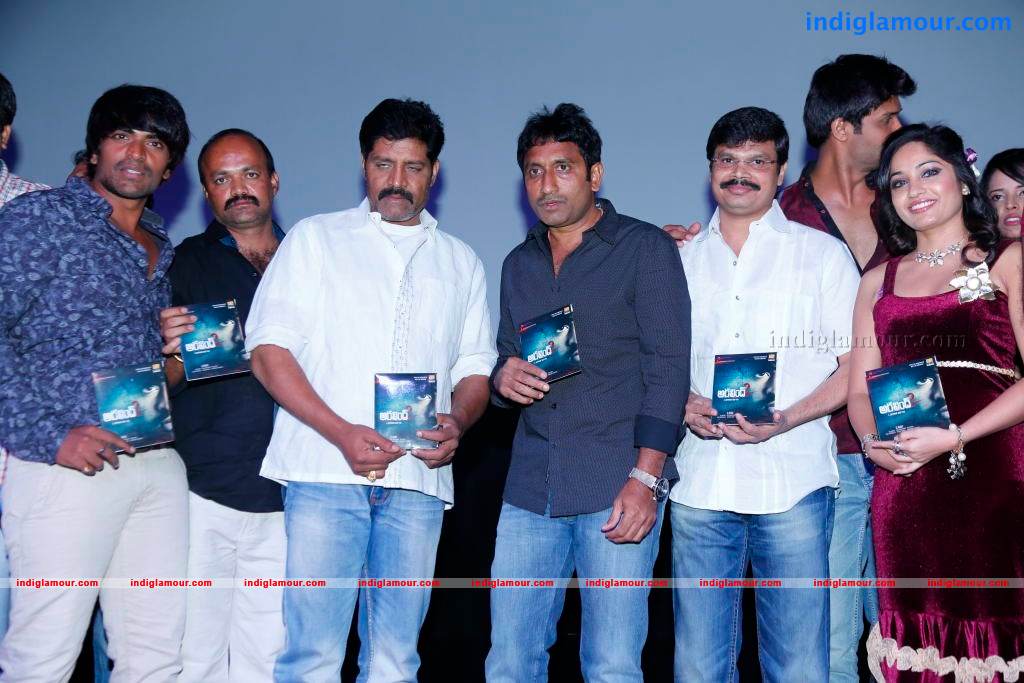 Aravind 2 Movie Audio Launch Photos Event hd photo