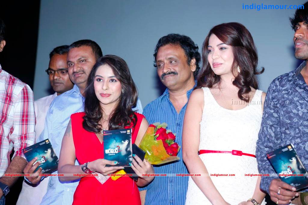 Aravind 2 Movie Audio Launch Photos Event hd photo