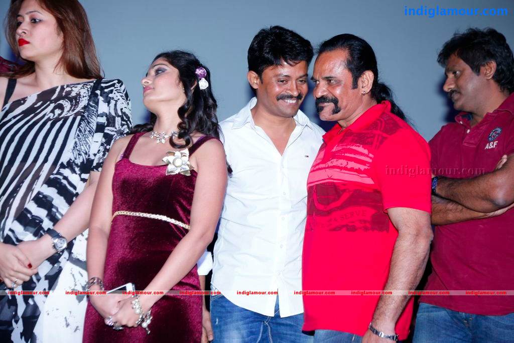 Aravind 2 Movie Audio Launch Photos Event hd photo