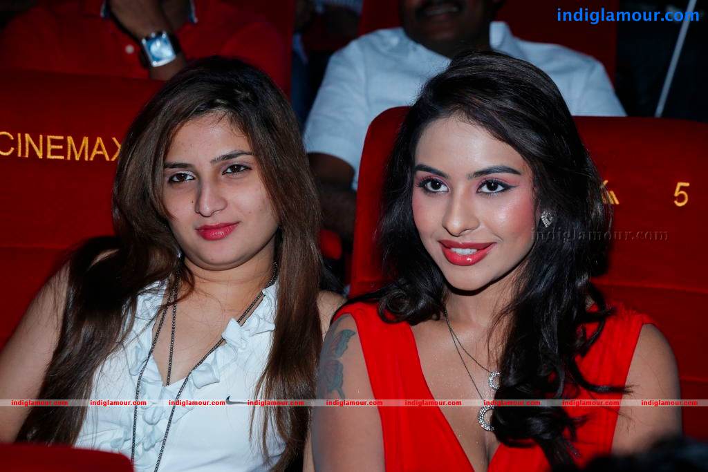 Aravind 2 Movie Audio Launch Photos Event hd photo