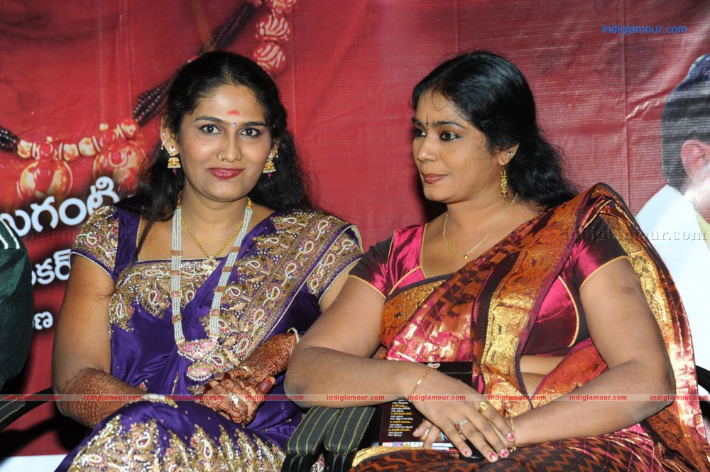 Veerangam movie Audio Launch Event hd photo