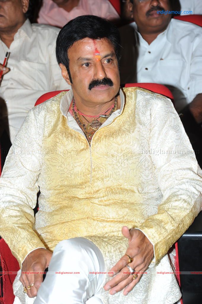 Sri Rama Rajyam 50days Function Stills Event hd photo