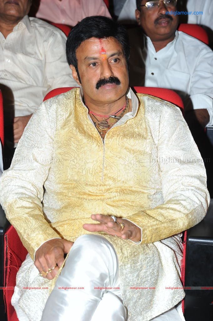 Sri Rama Rajyam 50days Function Stills Event hd photo