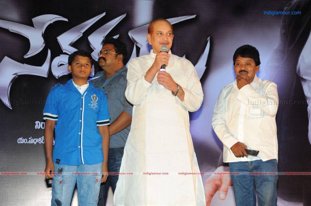 Sevakudu Audio Release Event hd photo