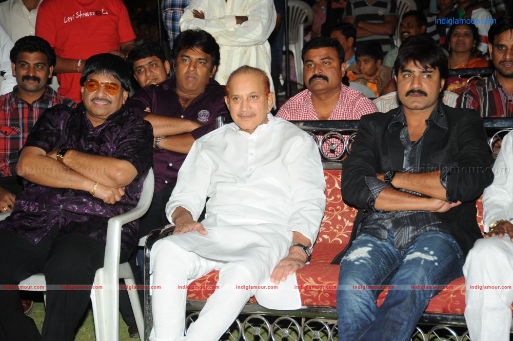 Sevakudu Audio Release Event hd photo