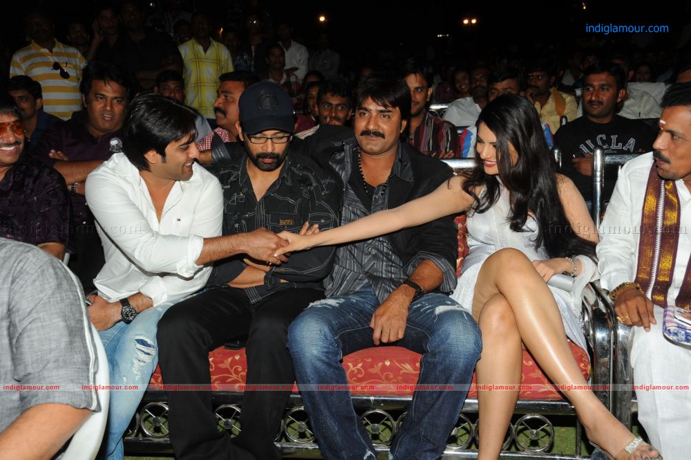 Sevakudu Audio Release Event hd photo