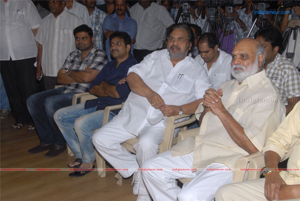 Dairy launch by directors Event hd photo