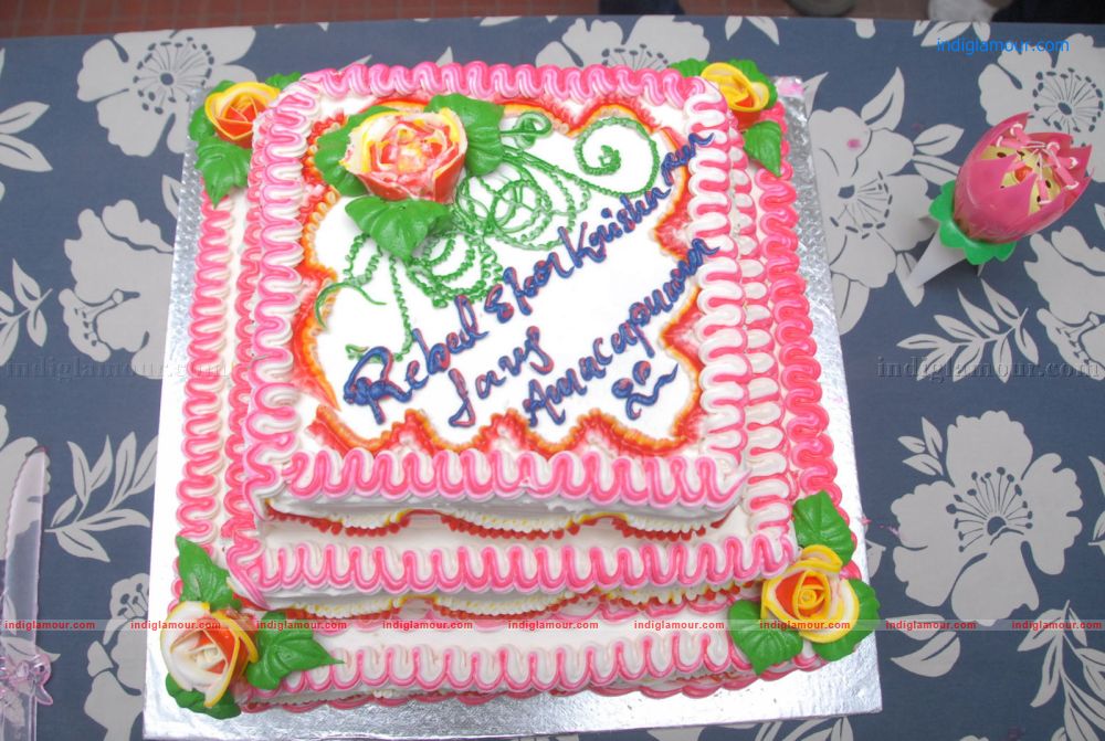 KrishnamRaju Birthday stills Event hd photo