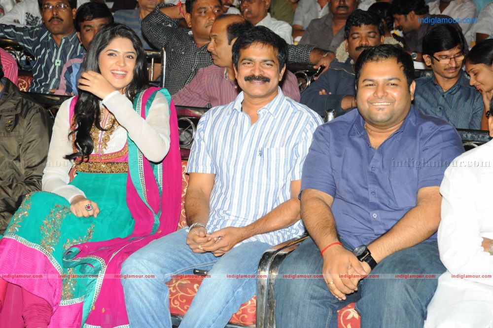 Nippu Audio Release Function Event hd photo