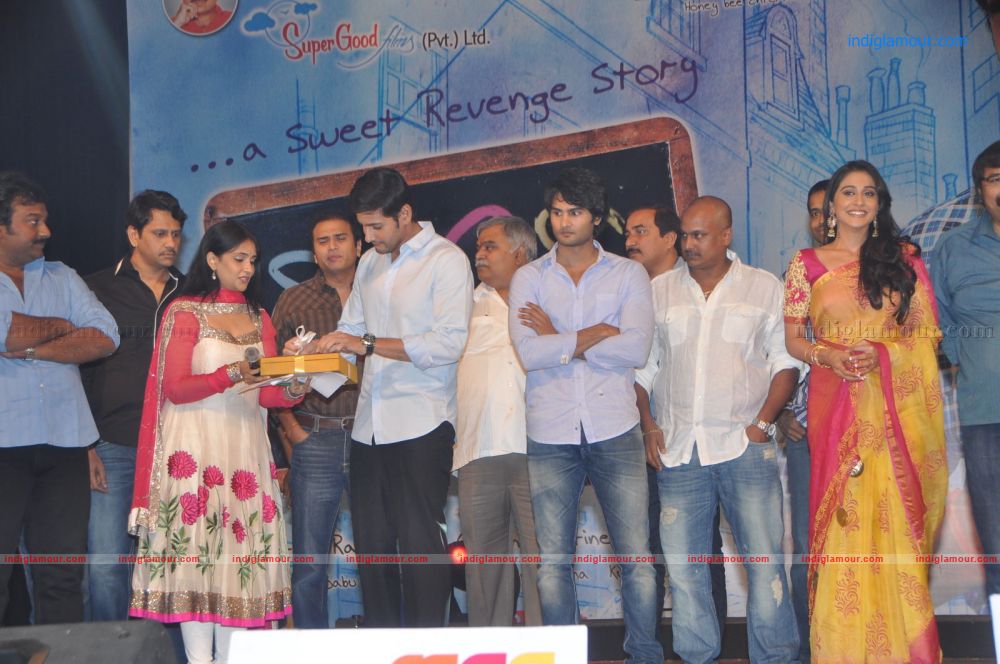 SMS Movie Audio Release Function Event hd photo