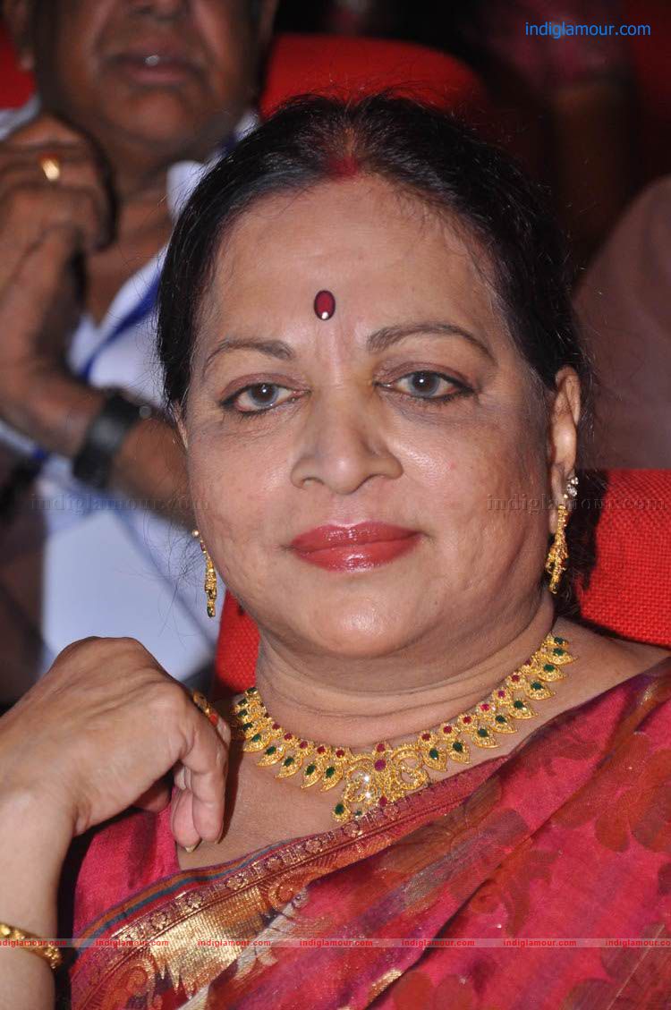 Sobhan Babu Vajrotsavam Sambaralu Event hd photo