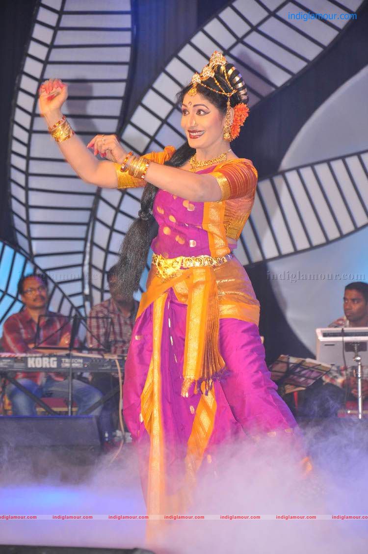 Sobhan Babu Vajrotsavam Sambaralu Event hd photo