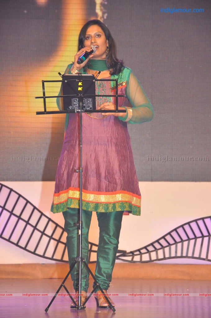 Sobhan Babu Vajrotsavam Sambaralu Event hd photo