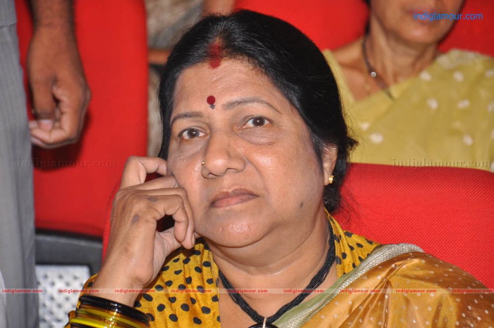 Sobhan Babu Vajrotsavam Sambaralu Event hd photo