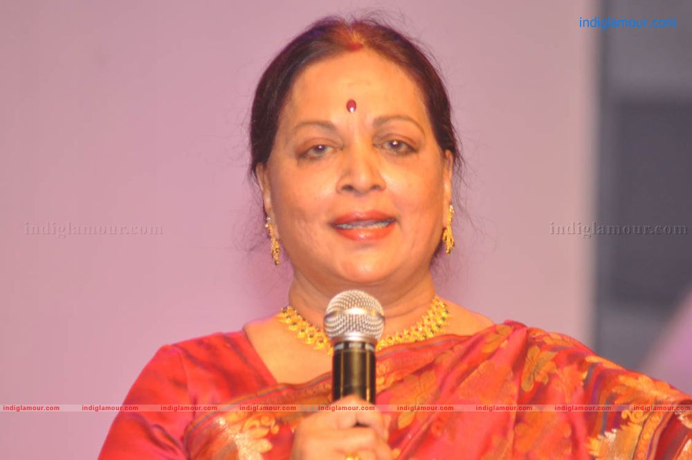 Sobhan Babu Vajrotsavam Sambaralu Event hd photo
