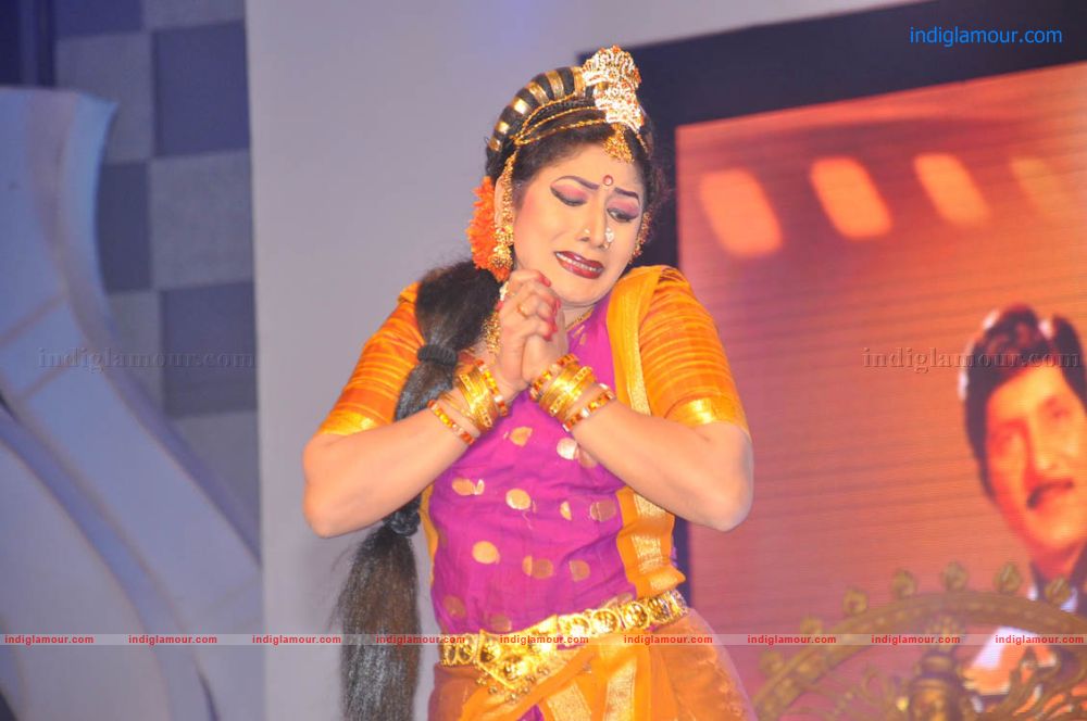 Sobhan Babu Vajrotsavam Sambaralu Event hd photo
