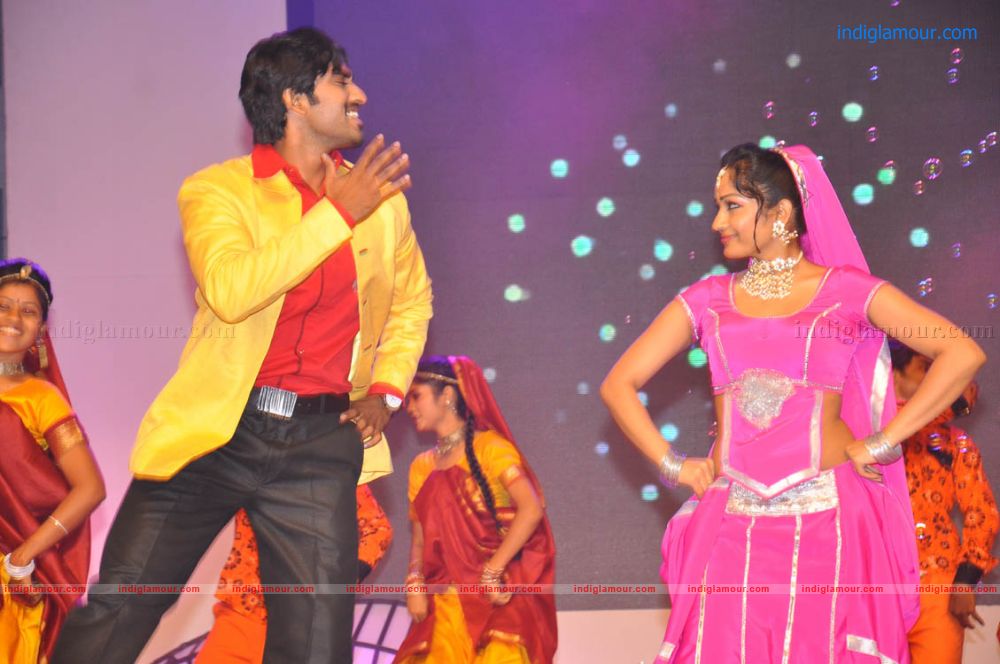 Sobhan Babu Vajrotsavam Sambaralu Event hd photo