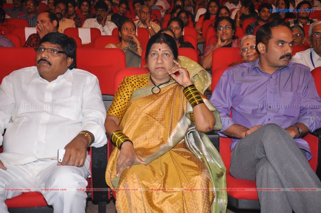 Sobhan Babu Vajrotsavam Sambaralu Event hd photo