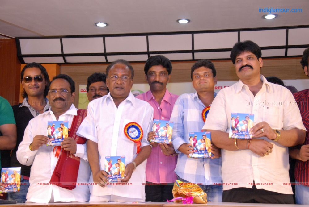 Jollyga Enjoy Cheddam Audio Release Function Event hd photo