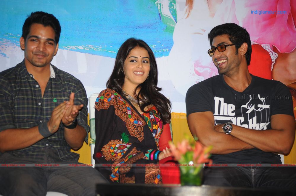 Naa Ishtam Audio Success Meet Stills Event hd photo