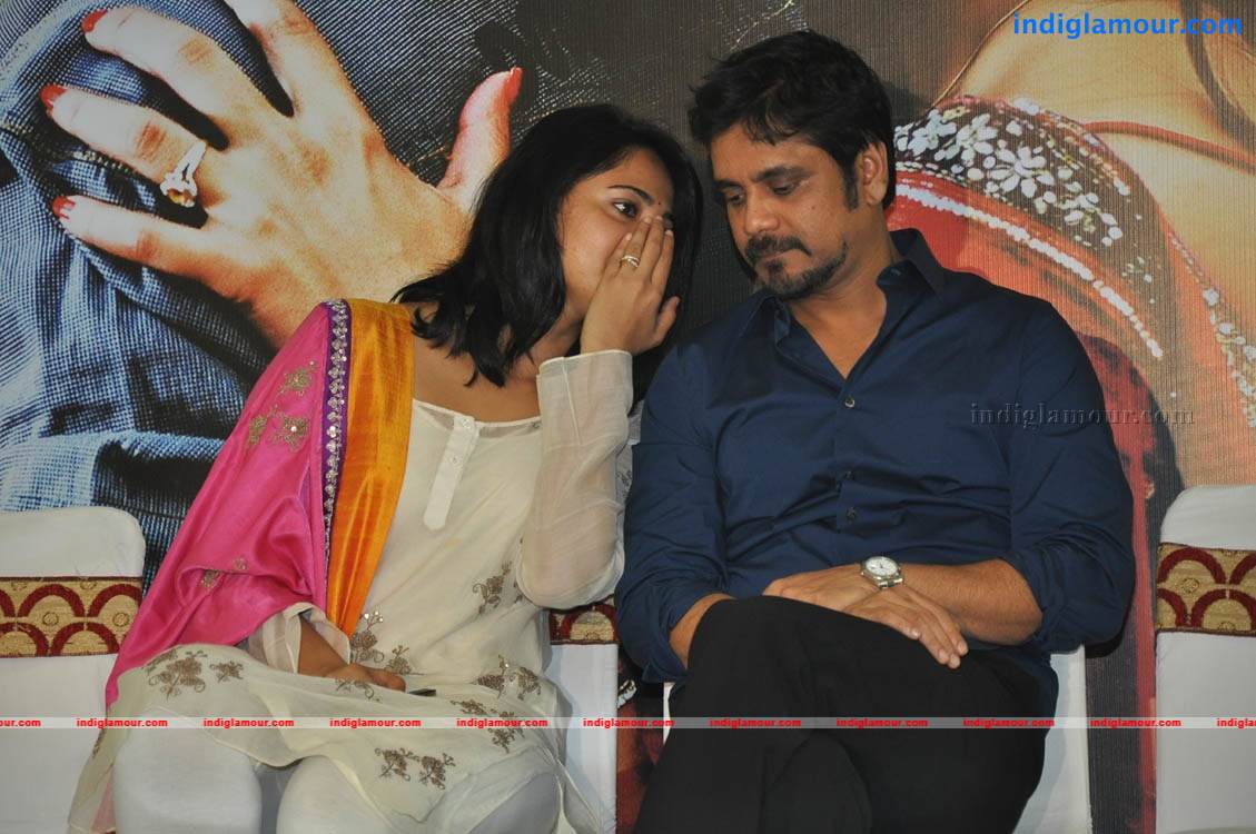 Dhamarukam Success Meet Photos Event hd photo