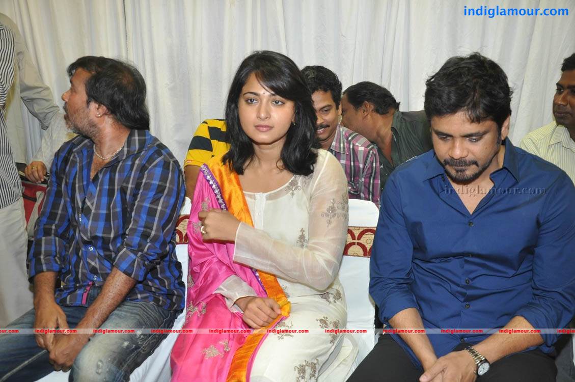Dhamarukam Success Meet Photos Event hd photo