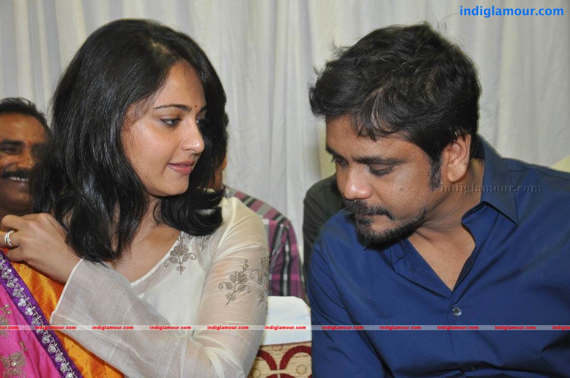 Dhamarukam Success Meet Photos Event hd photo