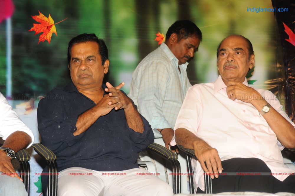 Lucky Movie Audio Release Photos Event hd photo