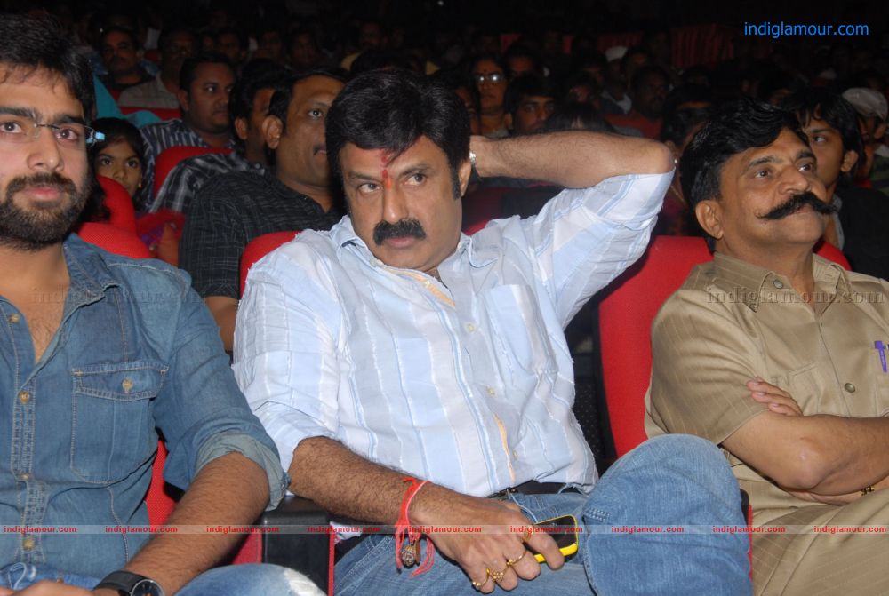 Okkadine Audio Release Function Event hd photo