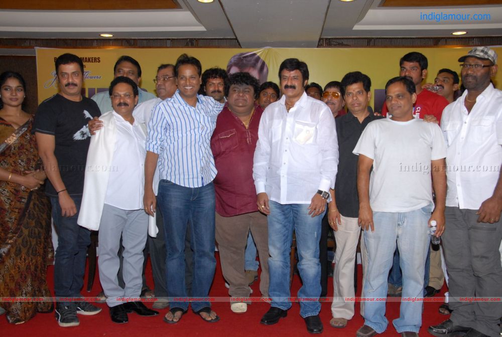 Srimannarayana Success Meet Stills Event hd photo